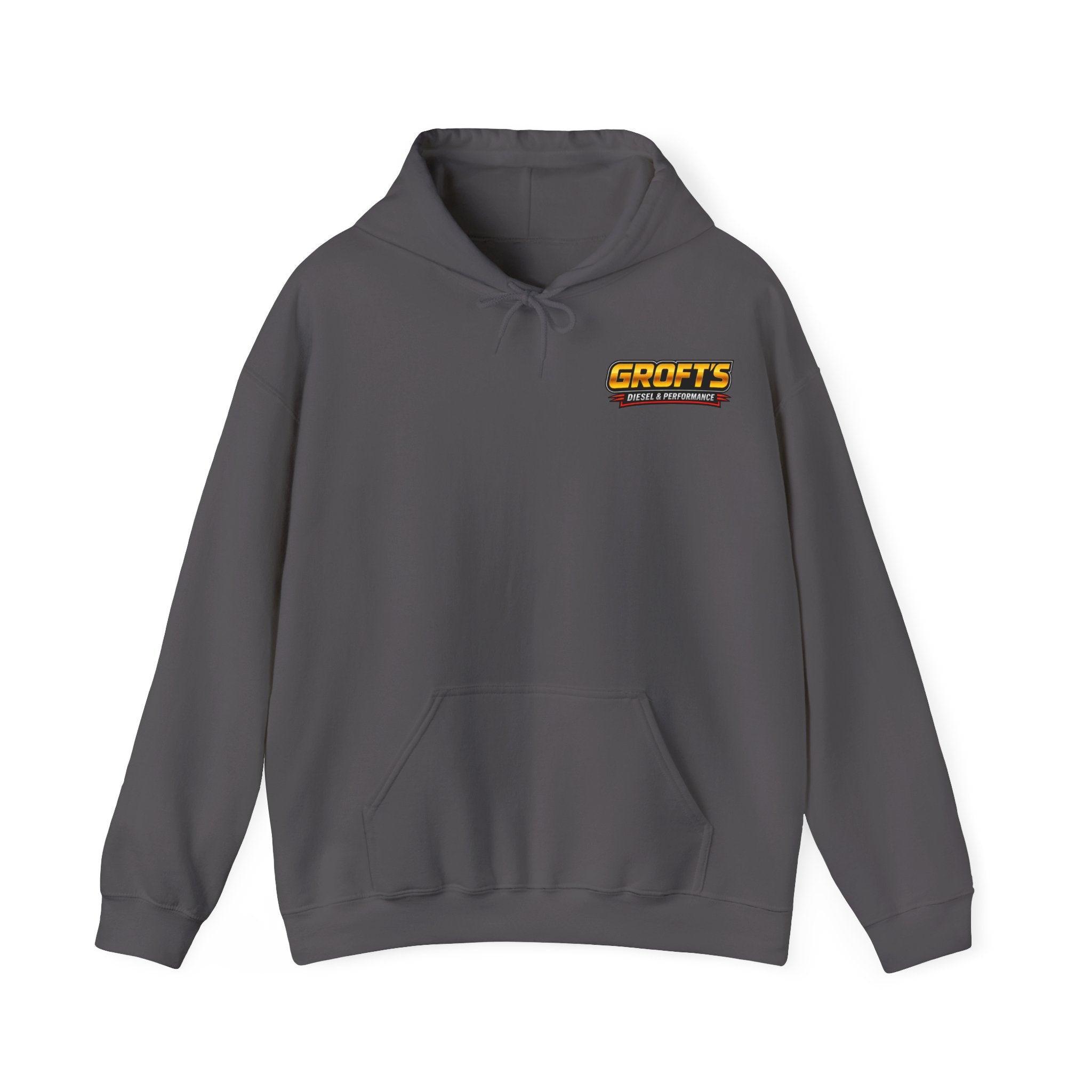 Adult Hoodie - Colored Logo