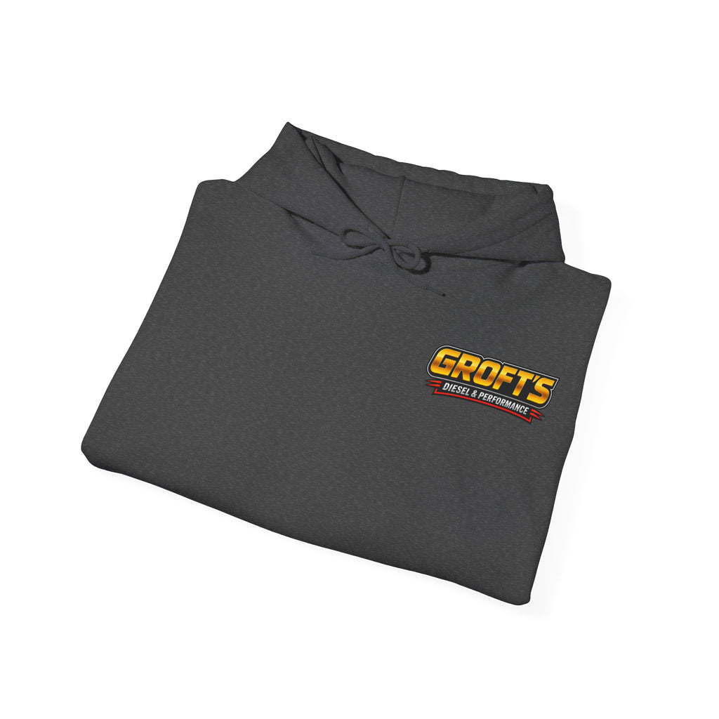 Adult Hoodie - Colored Logo