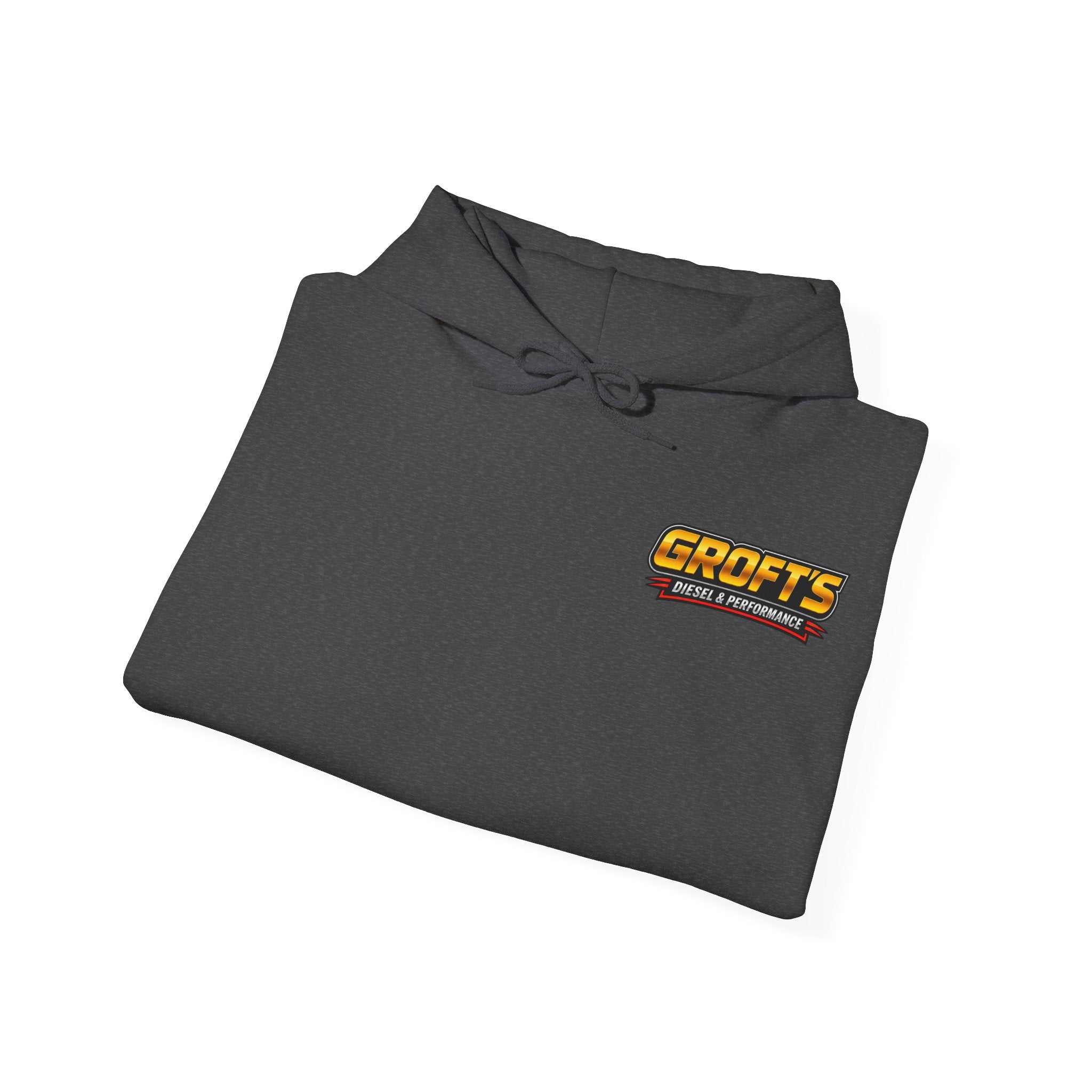 Adult Hoodie - Colored Logo