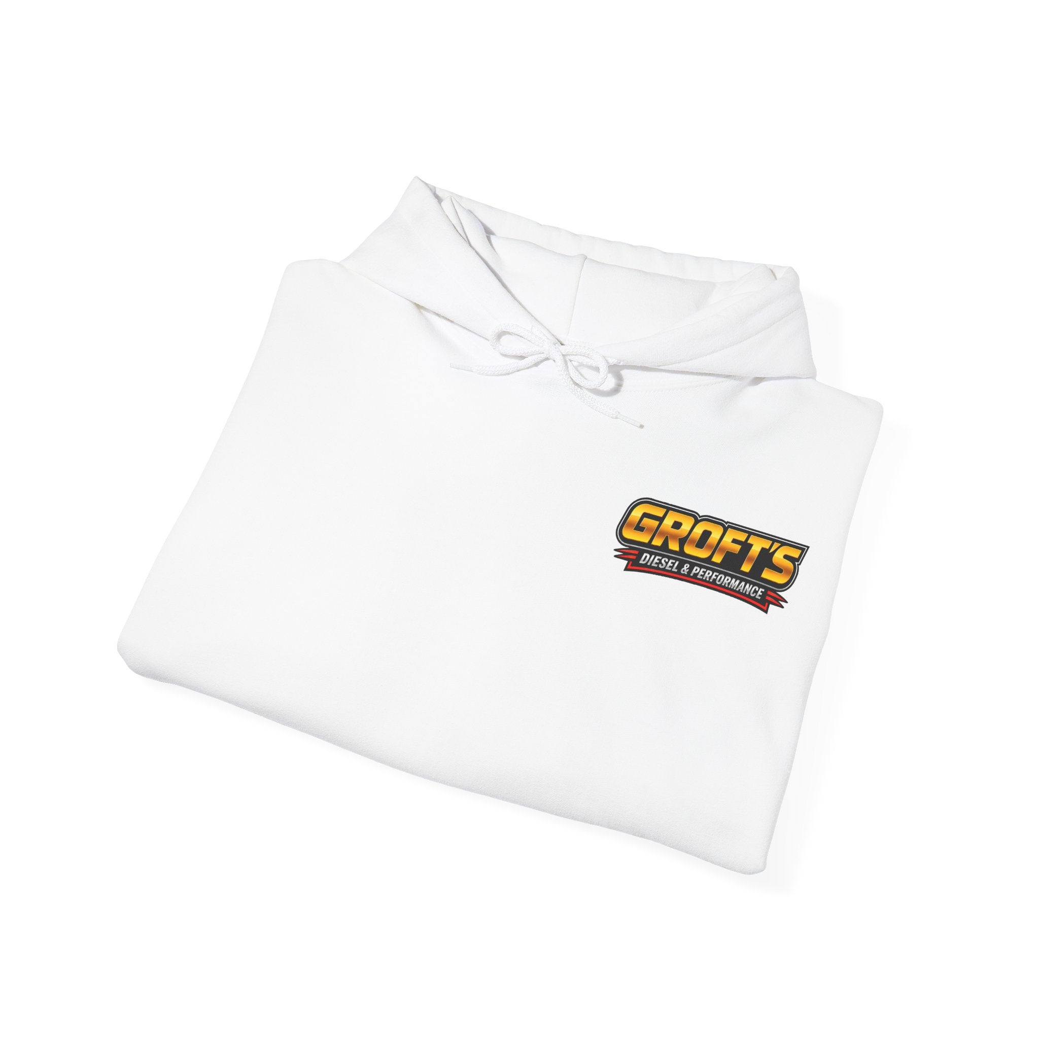 Adult Hoodie - Colored Logo