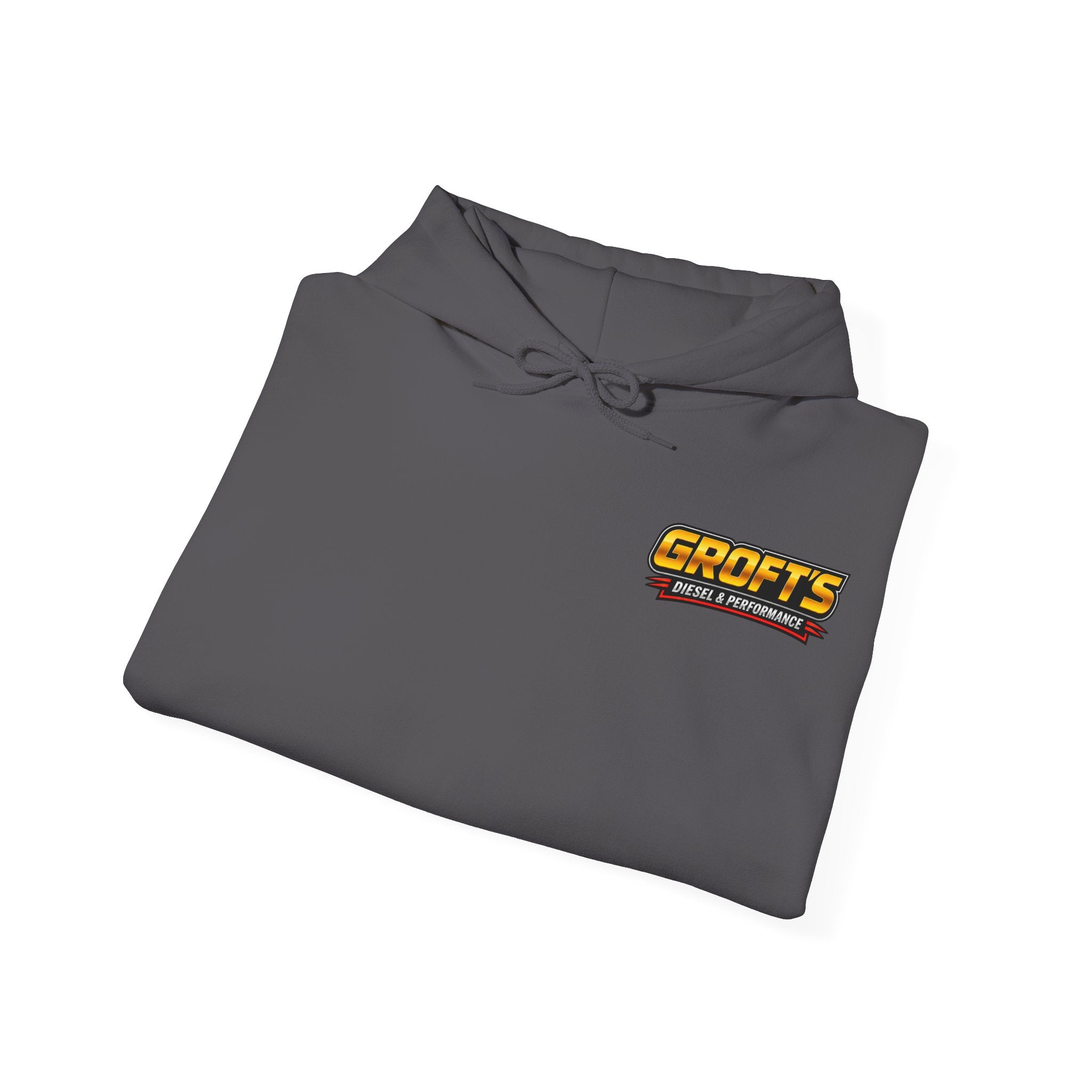 Adult Hoodie - Colored Logo